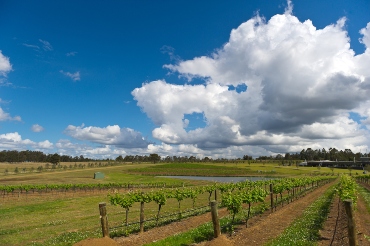 Margaret River Wine Region, Australia