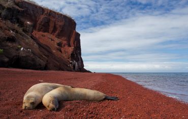 rabida Island, Galapagos, Ecuador