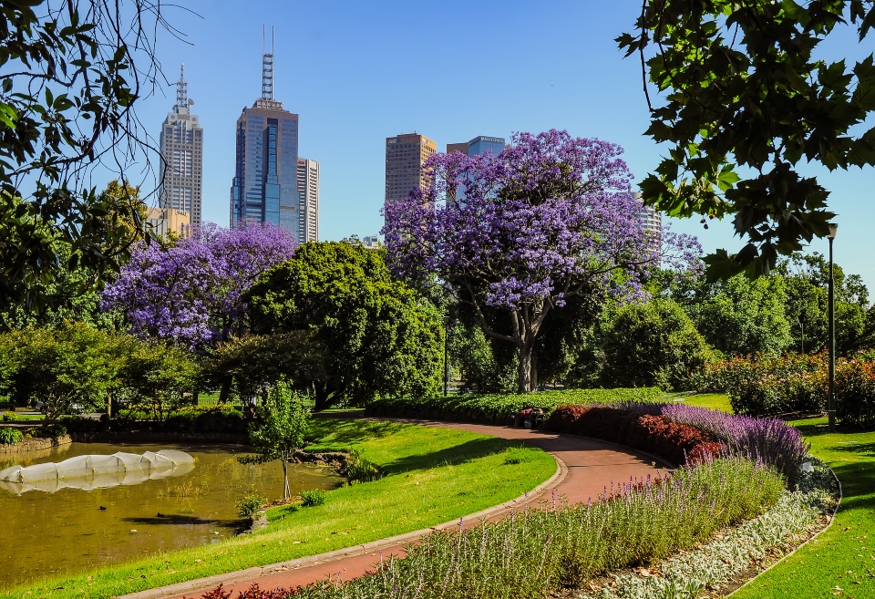 Botanical Gardens Melbourne
