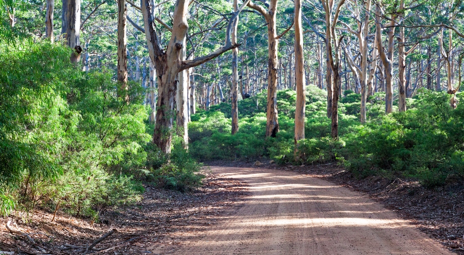 Margaret River Region Australia