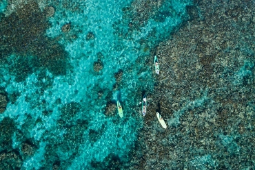 Ningaloo Reef, Sal Salis, Australia