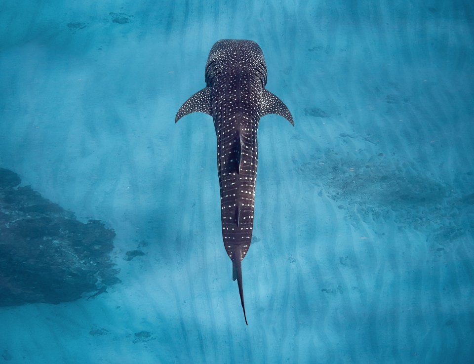 Sal Salis, Ningaloo Reef, Western Australia, Australia