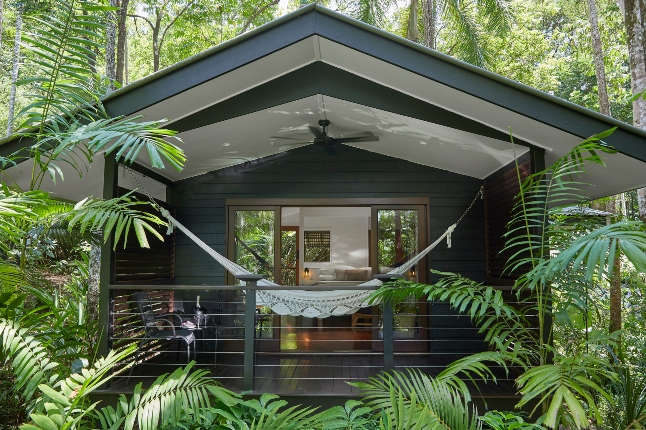 Silky Oaks, Daintree National Park, Queensland, Australia