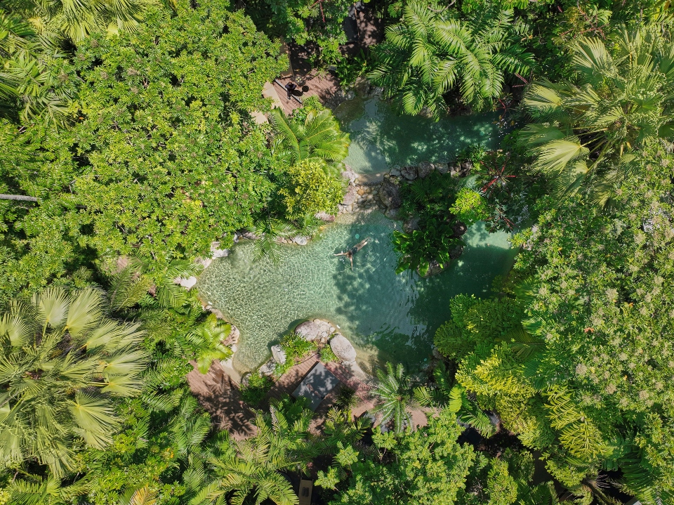 Silky Oaks Lodge, Silky Oaks Lodge, Daintree National Park, Queensland, Australia