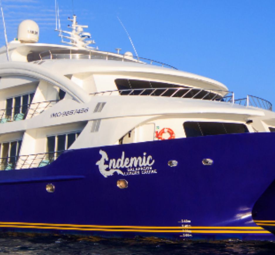 Endemic catamaran, The Galapagos