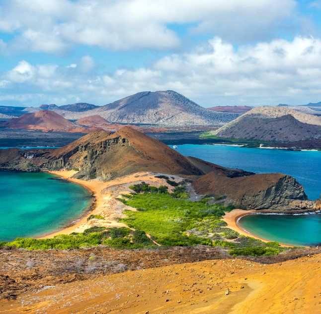 The Galapagos Islands