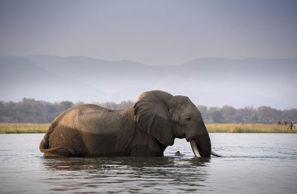 Zambezi Expeditions, Mana Pools, Zimbabwe
