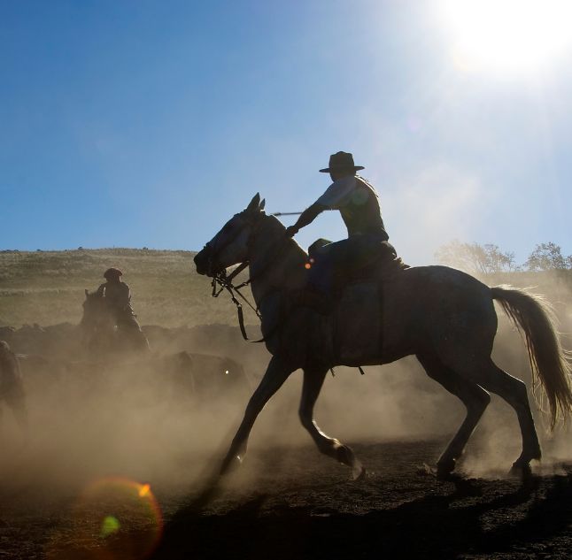 Estancia Los Potreros