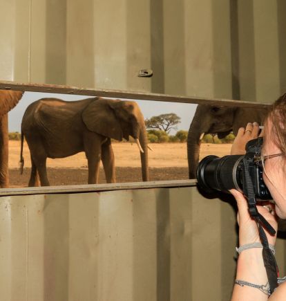 Camelthorn Camp, Hwange National Park, Zimbabwe
