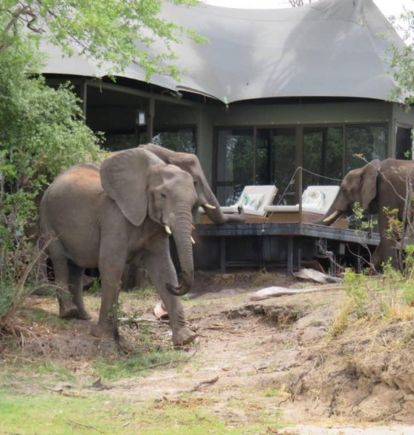 Old Drift Lodge, Victoria Falls, Zimbabwe