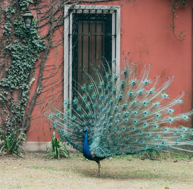 Estancia La Bandada, The Pampas, Argentina