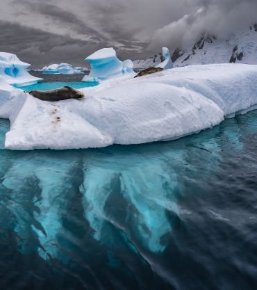 Antarctica