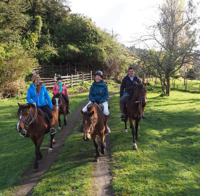 Horseriding from Tierra Chiloe, Chile