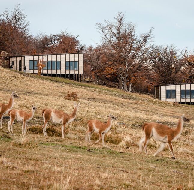 awasi patagonia lodges, torres del paine, chile