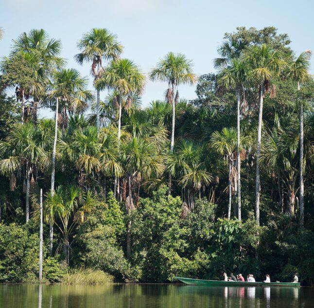 Excursion on Lake Sandoval, Reserva Amazonica, Amazon Rainforest, Peru