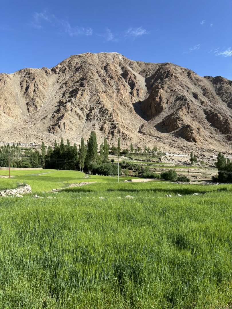 General Scenery in Ladakh