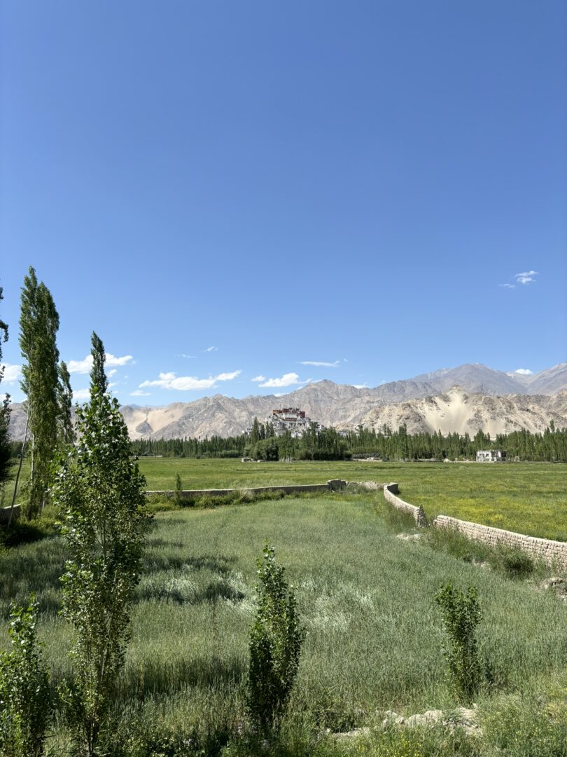 Views from Thikse Village House
