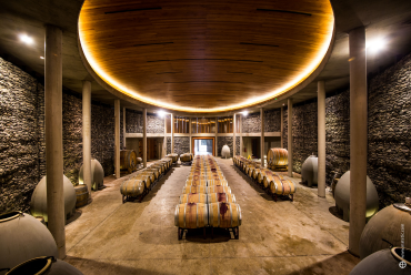 matetic bodega, casablanca valley, chile
