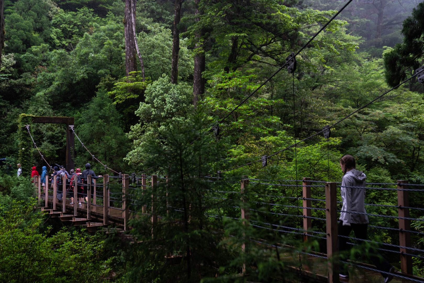 Yakushima, Japan - Heritage