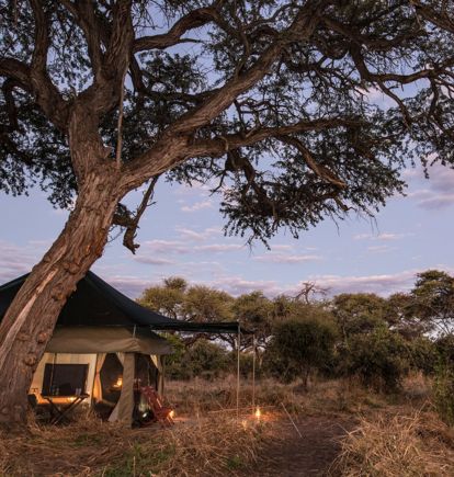 Barclay Stenner Camp, Moremi Wildlife Reserve, Botswana