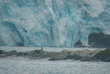 Elephant Island