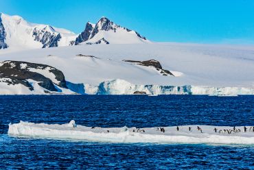 Antarctic Sound
