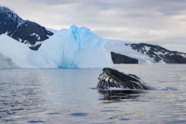 Antarctica