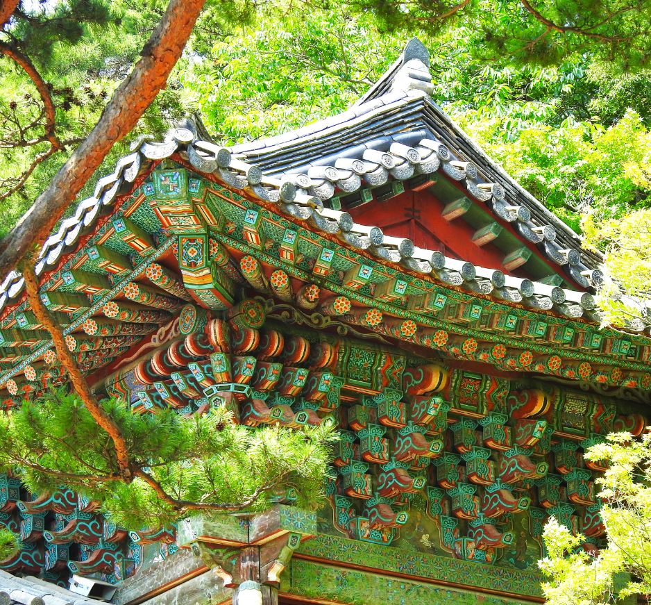 Discover the islands of Japan