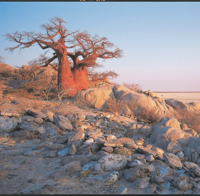 Jack's Camp, Magkadikadi Salt Pans, Botswana