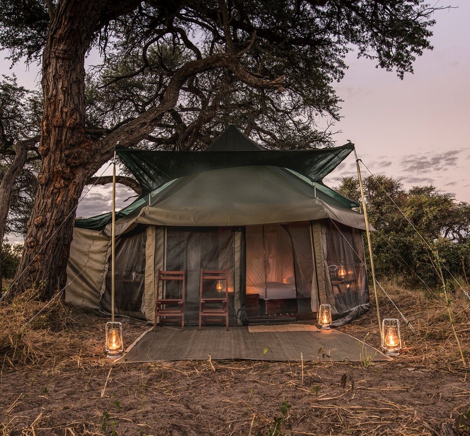 Barclay Stenner, Moremi Wildlife Reserve, Botswana