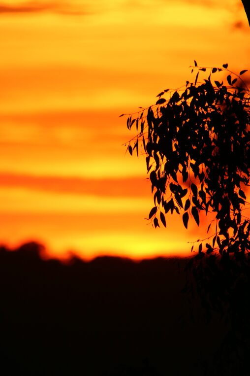 Sunset in California JG