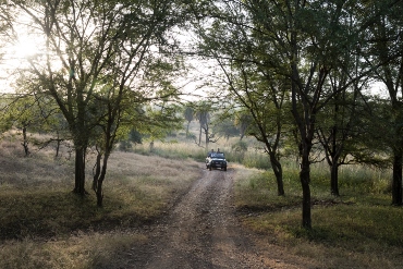 Aman-I-Khas. Ranthambhore National Park Safari