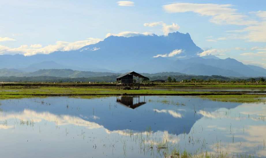 Sabah, Borneo IStock