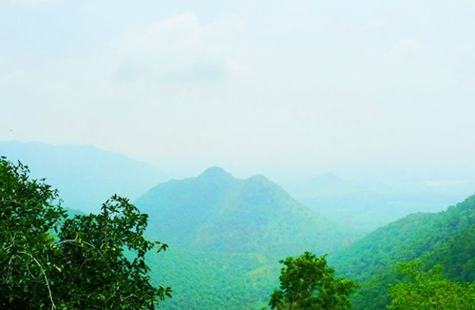Windermere Estate, Munnar, India
