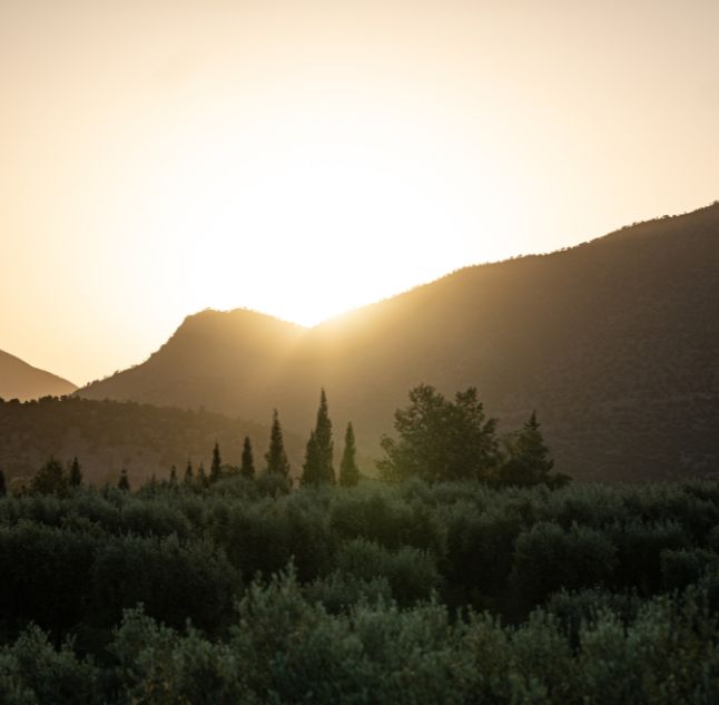 Olinto, Atlas Mountains, Morocco