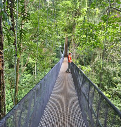 El Remanso, Peninsula de Osa, Costa Rica