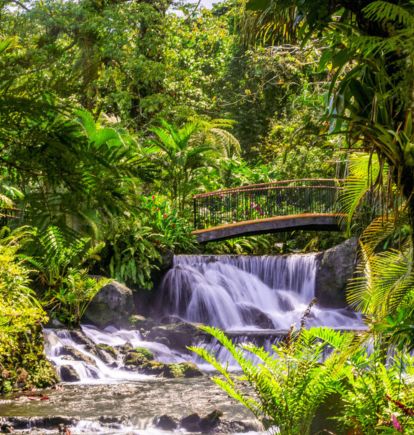 Tabacón Thermal Resort & Spa, Arenal