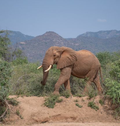 Matthews Mountain Range, Kenya
