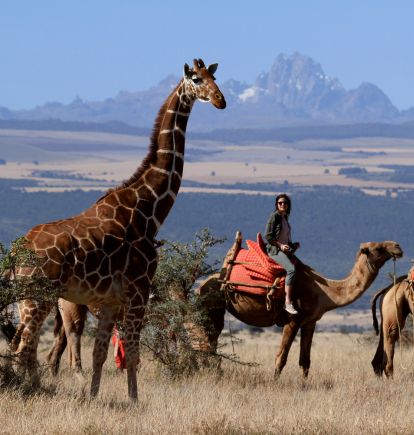 Lewa Conservancy, Kenya