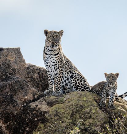 Laikipia Plateau, Kenya