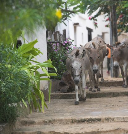 Lamu, Kenya