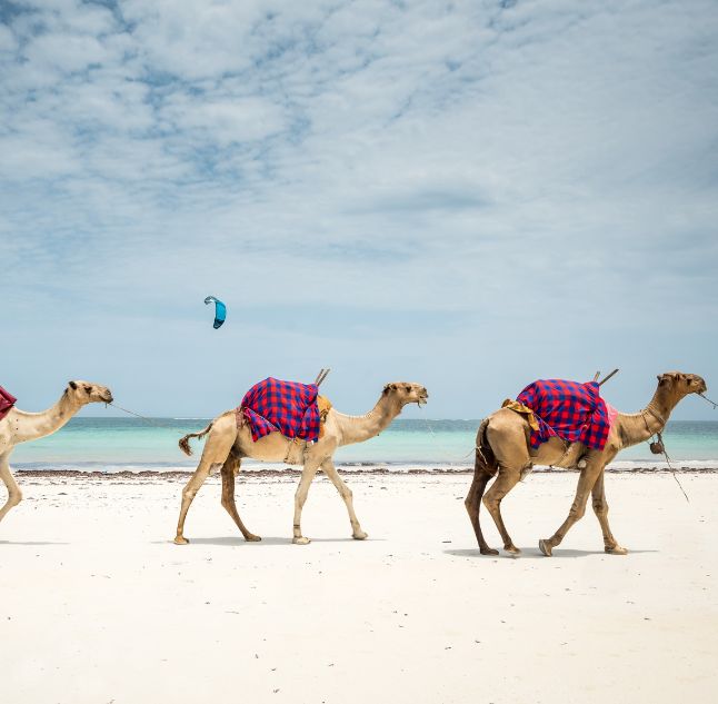 Lamu, Kenya
