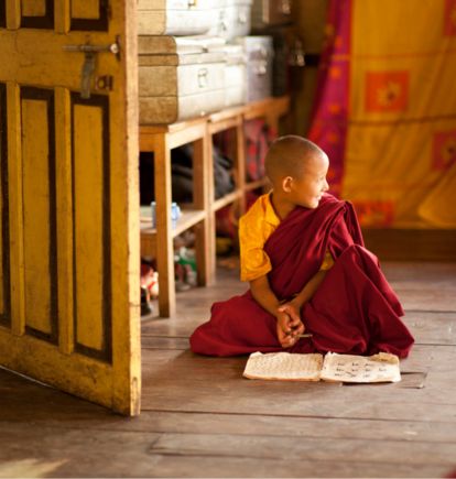 Young monk, Shakti, Ladakh