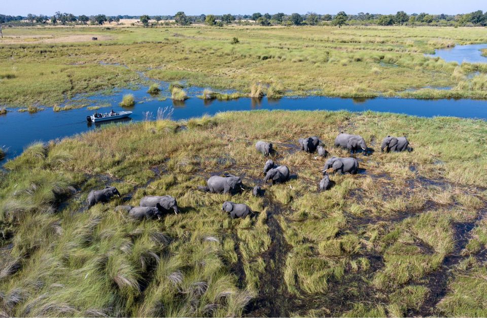 Duke's East Camp, Botswana