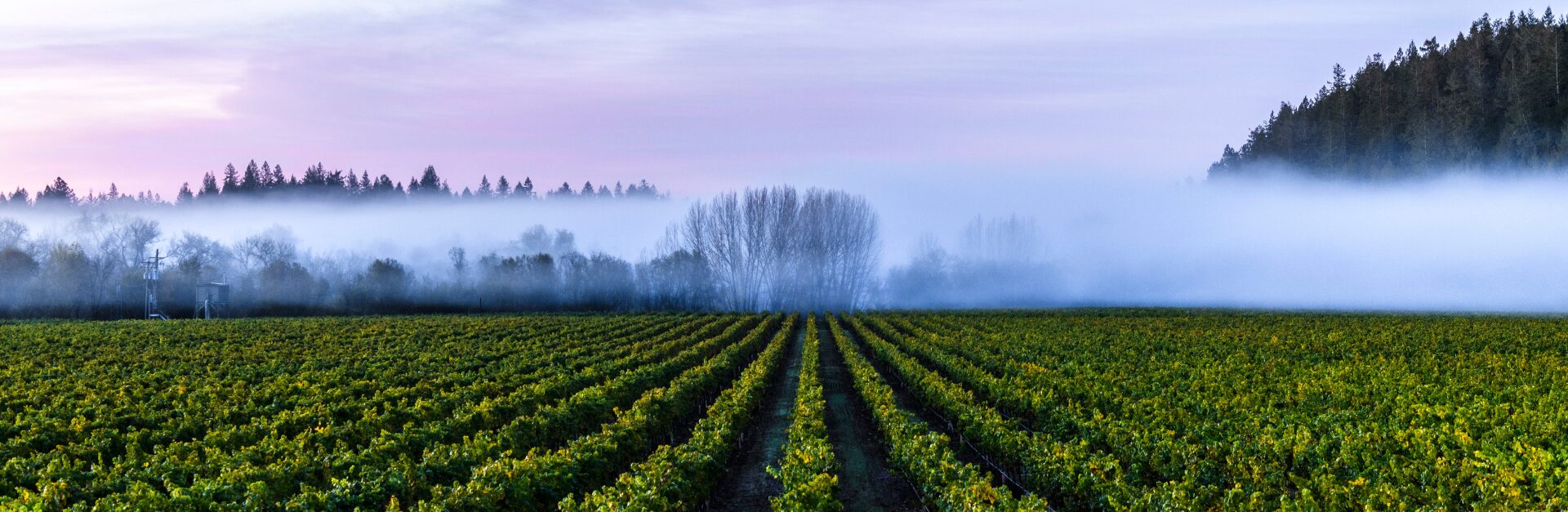 Napa Winery, California