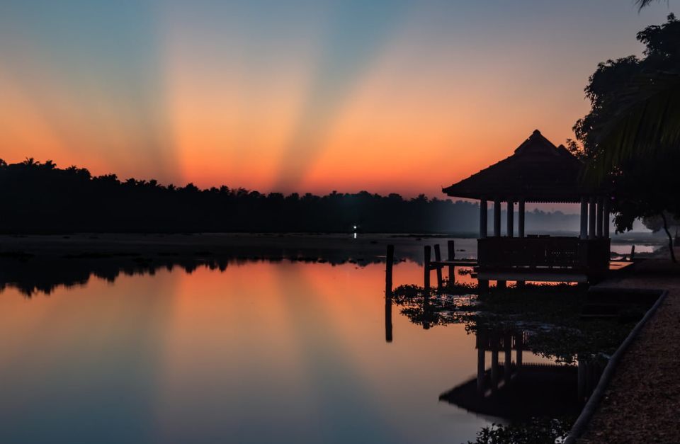 Philipkutty's Farm, The Backwaters, India