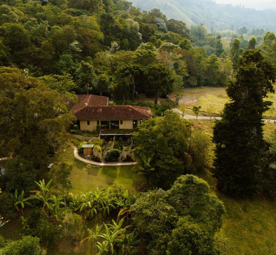 Aerial View, Sazagua Cocora, Coffee Triangle, Colombia