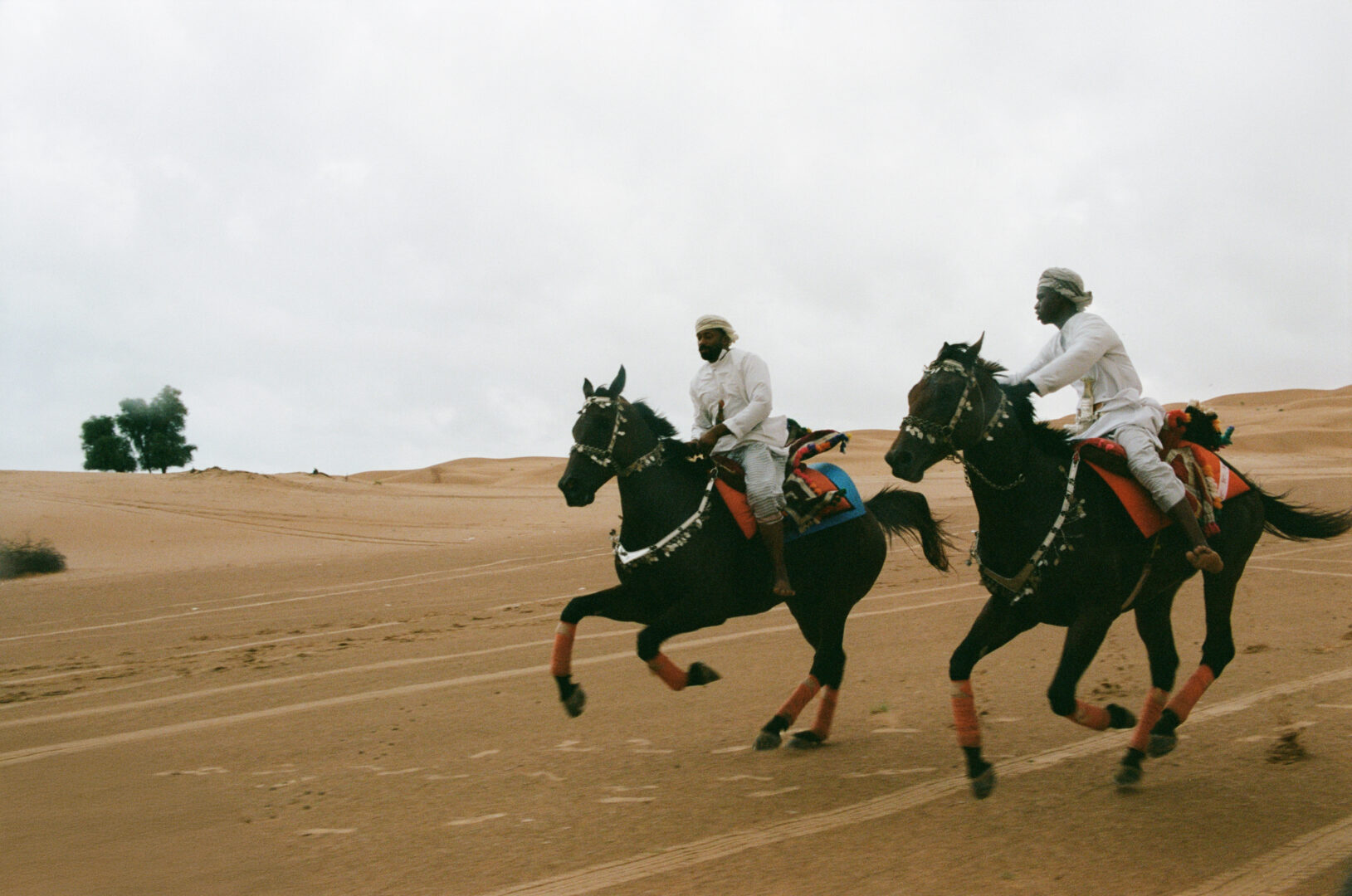 Ardah riders performing traditional horse show in the Sharqiya Sands desert during a luxury Oman holiday.