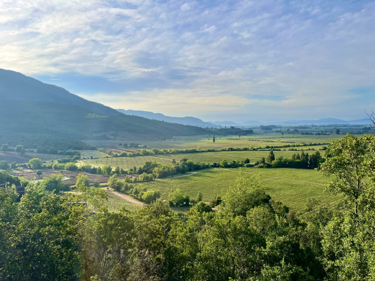 Chile’s Iconic Vineyards