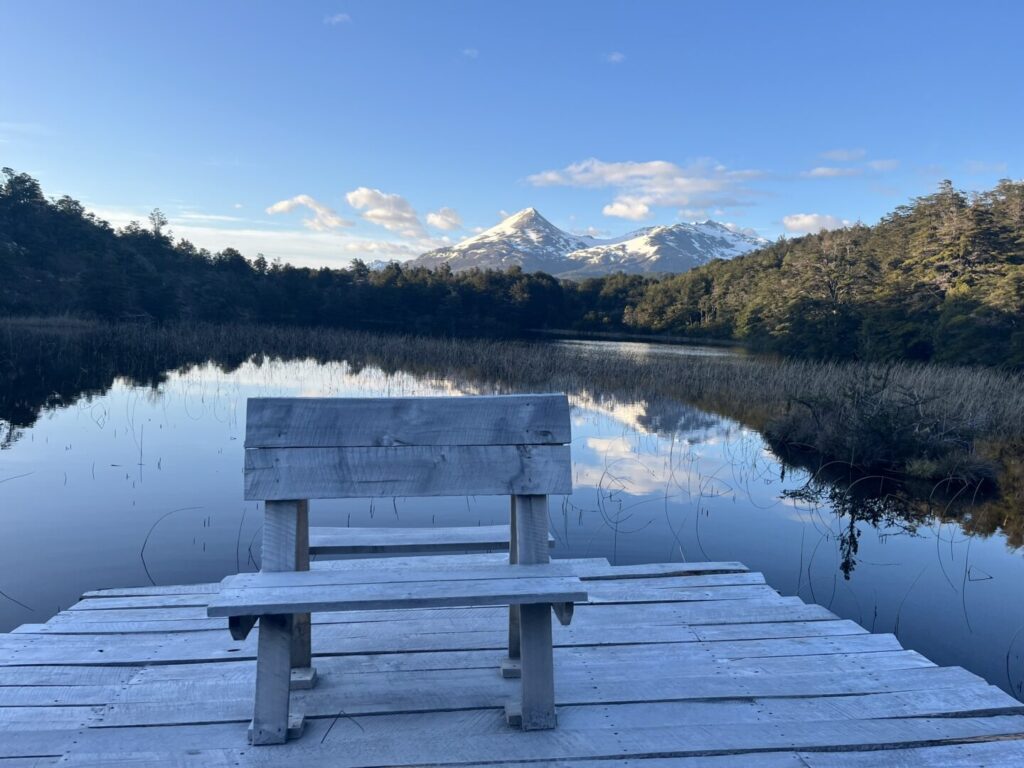 torres del paine mountain views